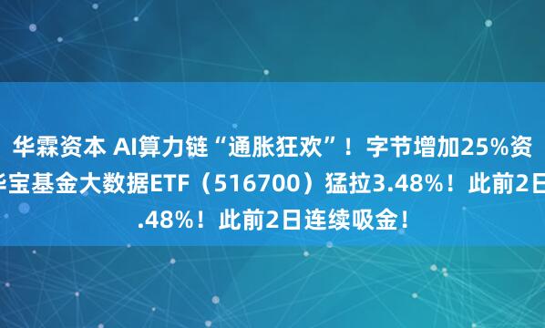 华霖资本 AI算力链“通胀狂欢”！字节增加25%资本开支！华宝基金大数据ETF（516700）猛拉3.48%！此前2日连续吸金！