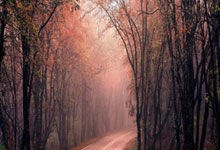 配资资金:股票什么app-高超声速、防空反导、战略导弹 我军新一代武器装备将集中亮相